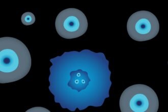 Actorius's illustration of a circulating tumor cell among blood cells