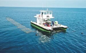 Sea6 Energy SeaCombine ocean tractor harvesting seaweed at sea