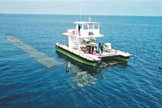 Sea6 Energy SeaCombine ocean tractor harvesting seaweed at sea