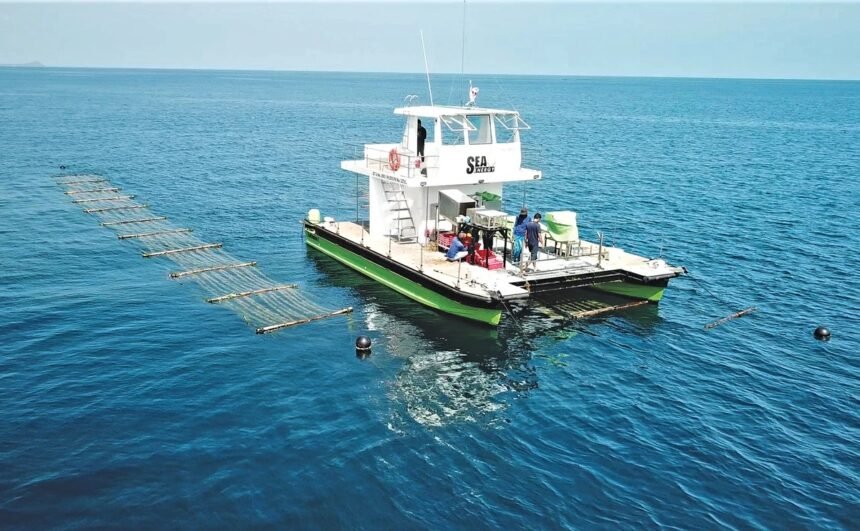 Sea6 Energy SeaCombine ocean tractor harvesting seaweed at sea