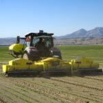 Niqo Robotics RoboWeeder working in a US lettuce field
