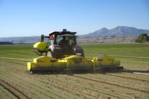 Niqo Robotics RoboWeeder working in a US lettuce field