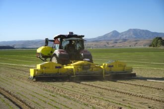 Niqo Robotics RoboWeeder working in a US lettuce field