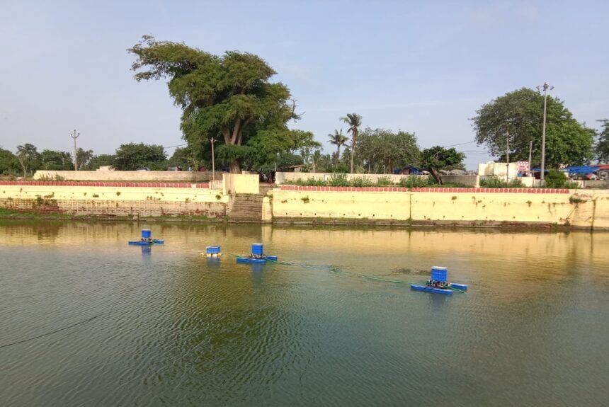 Bariflo's floating aeration units deployed on a pond.