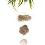 Canvaloop plant material refined step by step into soft textile fibre