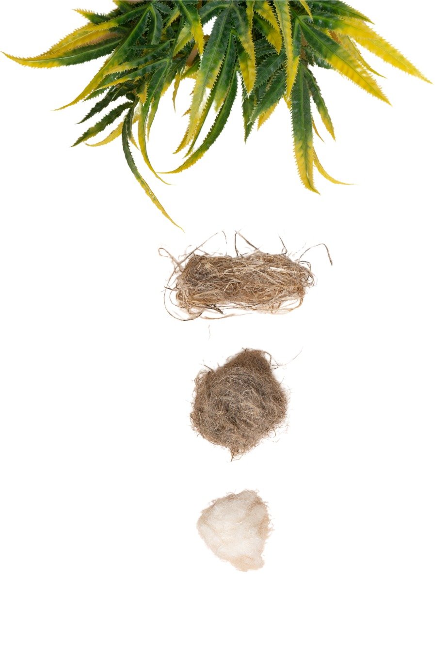 Canvaloop plant material refined step by step into soft textile fibre