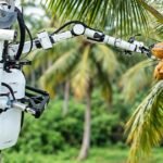 Altersage Innovations' Cocobot tree-climbing robot reaching for a coconut cluster on a palm
