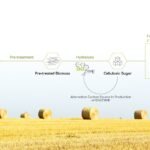 Fermbox Bio EN3ZYME process: farm biomass to cellulosic sugar, 2G ethanol and synbio products