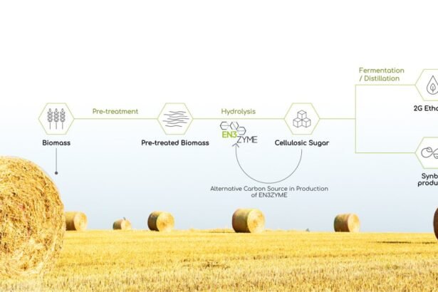 Fermbox Bio EN3ZYME process: farm biomass to cellulosic sugar, 2G ethanol and synbio products