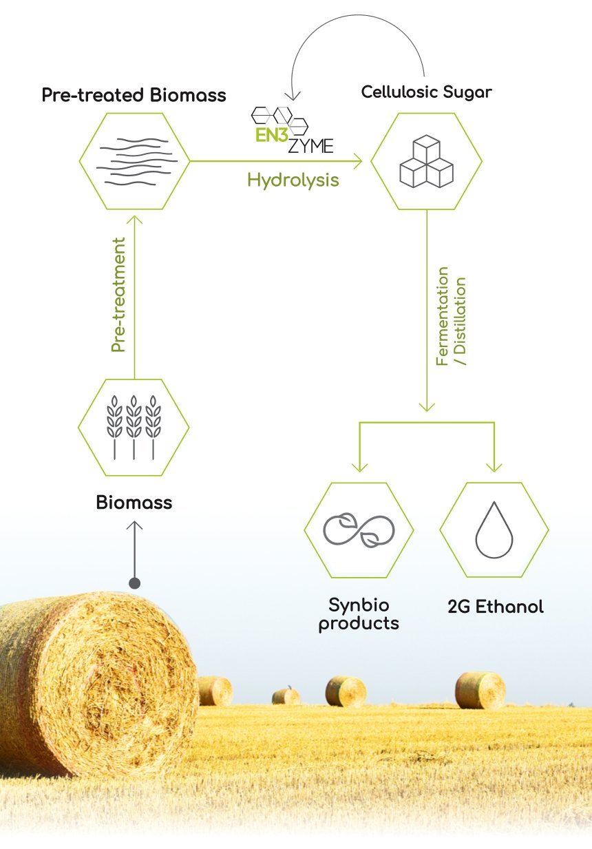 Fermbox Bio EN3ZYME process diagram