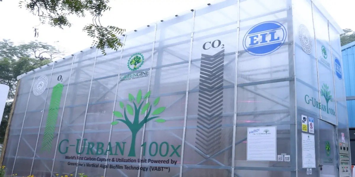 Greengine's G-Urban Tree 100x algae carbon capture unit installed at Engineers India Limited, Gurugram
