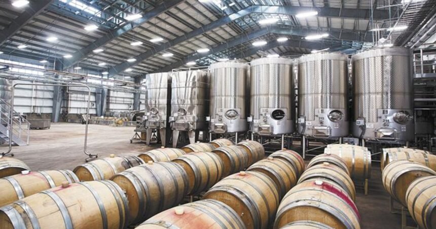 Winery production hall with stainless steel tanks and oak barrels, 1200x630 cover