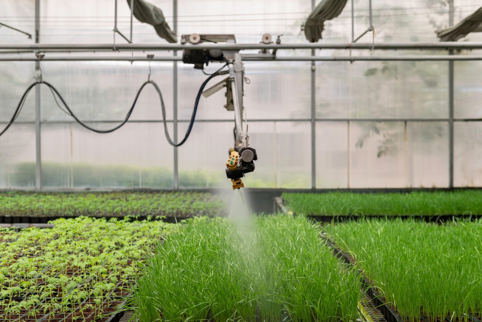PI Industries greenhouse crop protection spraying