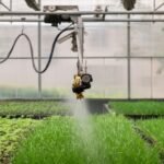 PI Industries crop protection spraying in a greenhouse