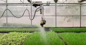 PI Industries crop protection spraying in a greenhouse
