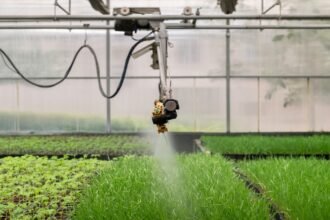 PI Industries crop protection spraying in a greenhouse