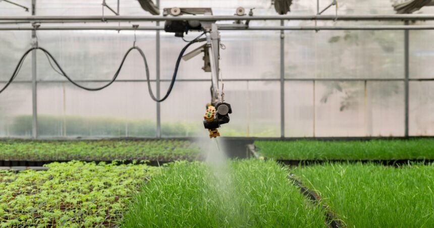 PI Industries crop protection spraying in a greenhouse
